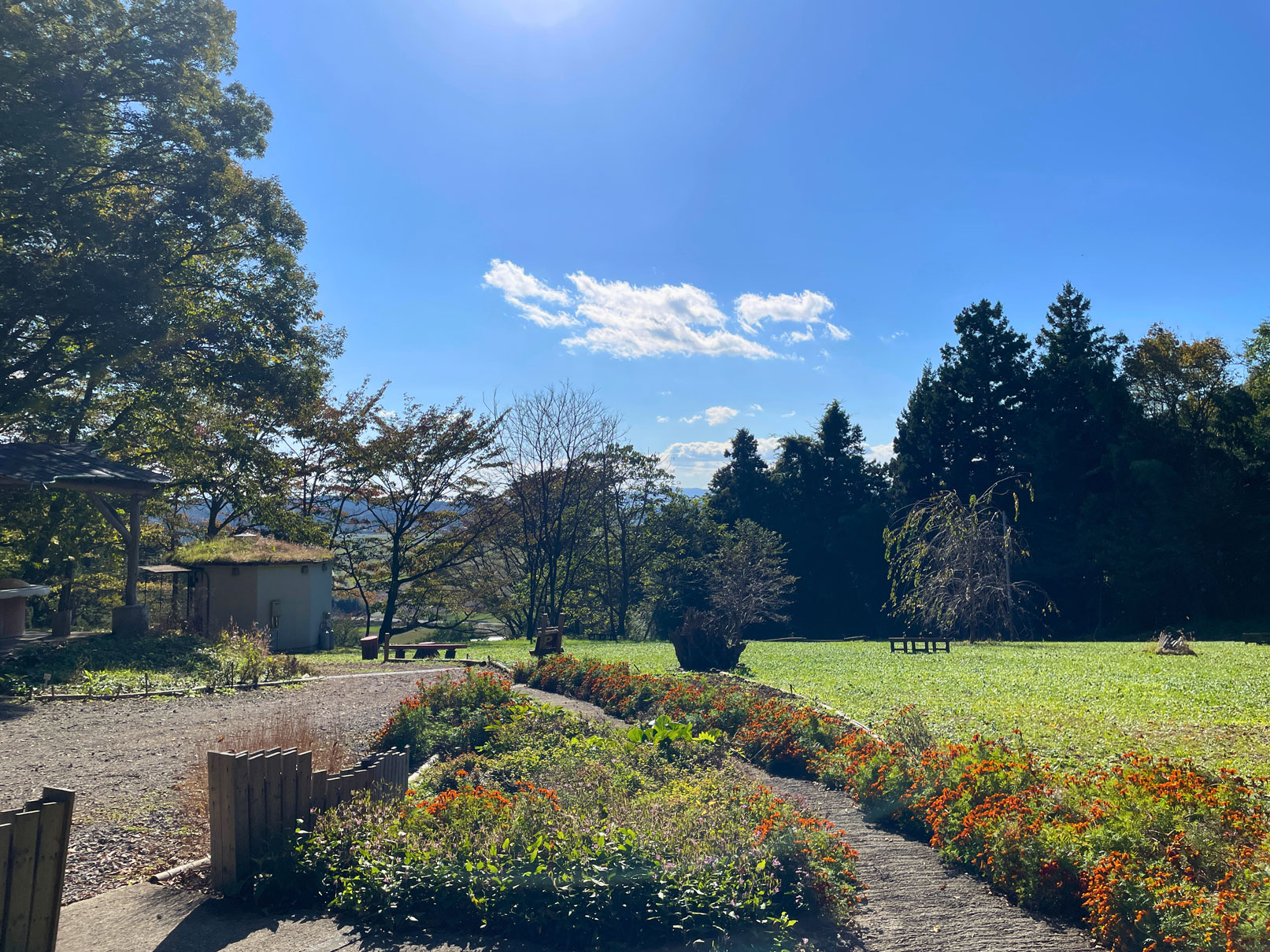 ペットちゃんとの思い出が作れる場所を目指します ペットちゃんとの思い出が作れる場所を目指します